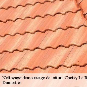 Nettoyage demoussage de toiture  choisy-le-roi-94600 Dumortier
