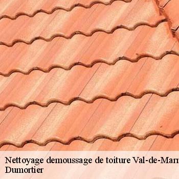 Nettoyage demoussage de toiture 94 Val-de-Marne  Dumortier