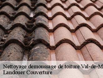 Nettoyage demoussage de toiture 94 Val-de-Marne  Dumortier