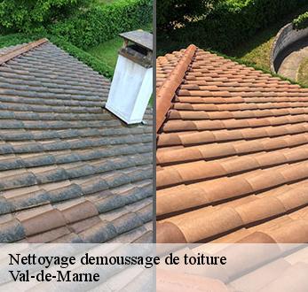 Nettoyage demoussage de toiture Val-de-Marne