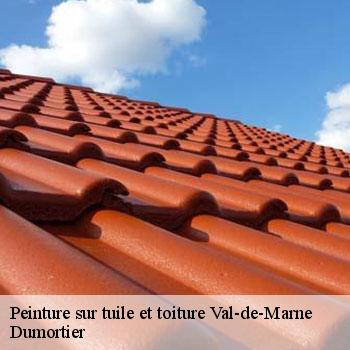 Peinture sur tuile et toiture 94 Val-de-Marne  Sabas couvreur 94