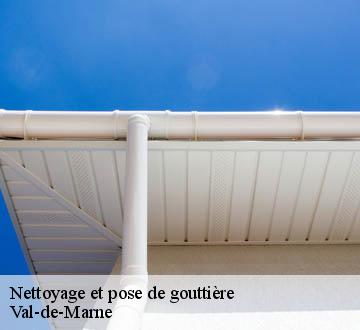Nettoyage et pose de gouttière Val-de-Marne 