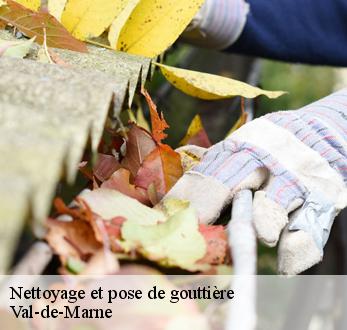 Nettoyage et pose de gouttière Val-de-Marne 