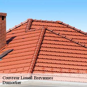 Couvreur  limeil-brevannes-94450 Dumortier