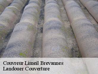 Couvreur  limeil-brevannes-94450 Dumortier