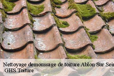 Nettoyage demoussage de toiture  ablon-sur-seine-94480  GHS Toiture