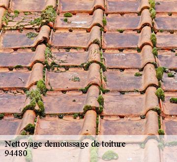 Nettoyage demoussage de toiture  94480