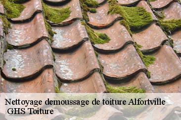 Nettoyage demoussage de toiture  alfortville-94140  GHS Toiture