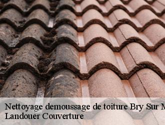 Nettoyage demoussage de toiture  bry-sur-marne-94360 Dumortier