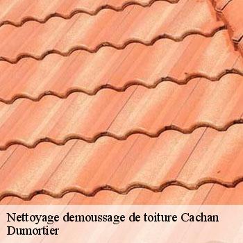 Nettoyage demoussage de toiture  cachan-94230 Sabas couvreur 94