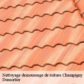 Nettoyage demoussage de toiture  champigny-sur-marne-94500 Dumortier