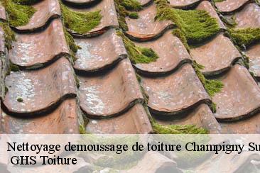 Nettoyage demoussage de toiture  champigny-sur-marne-94500  GHS Toiture