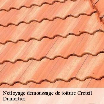 Nettoyage demoussage de toiture  creteil-94000 Sabas couvreur 94