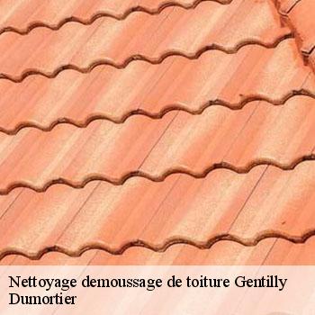 Nettoyage demoussage de toiture  gentilly-94250 Dumortier