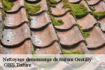Nettoyage demoussage de toiture  gentilly-94250  GHS Toiture