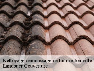 Nettoyage demoussage de toiture  joinville-le-pont-94340 Dumortier