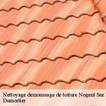 Nettoyage demoussage de toiture  nogent-sur-marne-94130 Dumortier