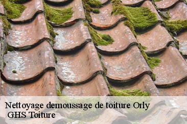 Nettoyage demoussage de toiture  orly-94310  GHS Toiture