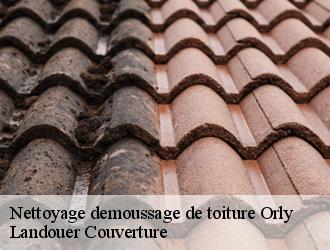 Nettoyage demoussage de toiture orly-94310 Landouer Couverture