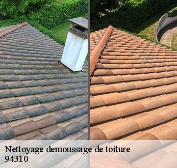 Nettoyage demoussage de toiture 94310