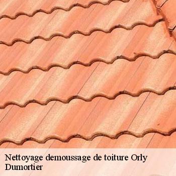 Nettoyage demoussage de toiture  orly-94310 Sabas couvreur 94