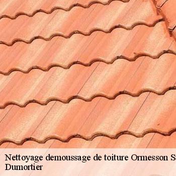 Nettoyage demoussage de toiture  ormesson-sur-marne-94490 Dumortier