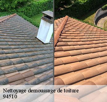 Nettoyage demoussage de toiture  94510