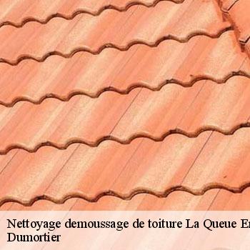 Nettoyage demoussage de toiture  la-queue-en-brie-94510 Dumortier