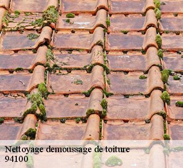 Nettoyage demoussage de toiture  94100