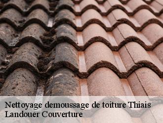 Nettoyage demoussage de toiture thiais-94320 M. SAUVAGEOT Fredo