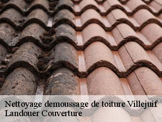 Nettoyage demoussage de toiture  villejuif-94800 Dumortier