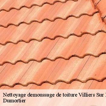 Nettoyage demoussage de toiture  villiers-sur-marne-94350 Dumortier