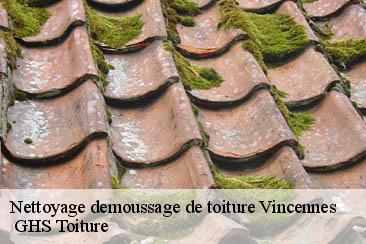 Nettoyage demoussage de toiture  vincennes-94300  GHS Toiture