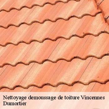 Nettoyage demoussage de toiture  vincennes-94300 Dumortier