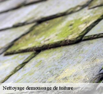 Nettoyage demoussage de toiture