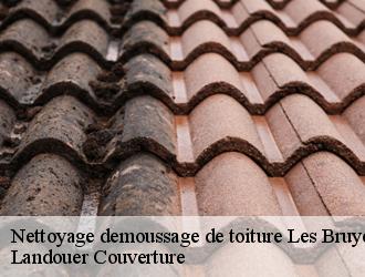 Nettoyage demoussage de toiture les-bruyeres-94370 Sabas couvreur 94