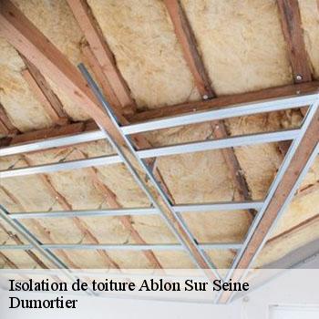 Isolation de toiture  ablon-sur-seine-94480 Dumortier