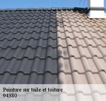 Peinture sur tuile et toiture  94380