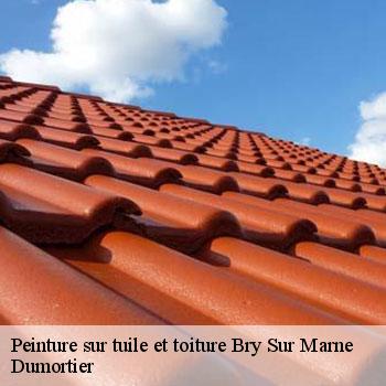 Peinture sur tuile et toiture  bry-sur-marne-94360 Dumortier