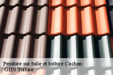 Peinture sur tuile et toiture  cachan-94230  GHS Toiture