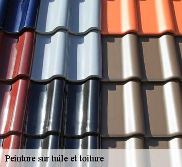 Peinture sur tuile et toiture