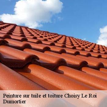 Peinture sur tuile et toiture  choisy-le-roi-94600 Dumortier
