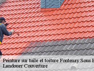 Peinture sur tuile fontenay-sous-bois-94120 Vavasseur Couverture