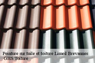 Peinture sur tuile et toiture  limeil-brevannes-94450  GHS Toiture