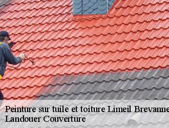 Peinture sur tuile et toiture limeil-brevannes-94450 Sabas couvreur 94