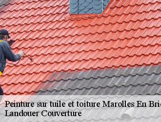 Peinture sur tuile et toiture marolles-en-brie-94440 Vavasseur Couverture