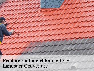 Peinture sur tuile et toiture orly-94310 Vavasseur Couverture