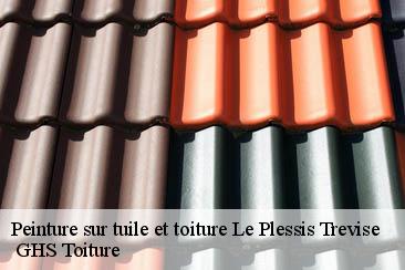 Peinture sur tuile et toiture  le-plessis-trevise-94420  GHS Toiture