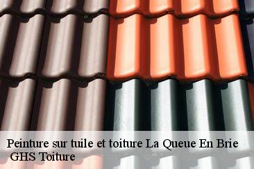 Peinture sur tuile et toiture  la-queue-en-brie-94510  GHS Toiture