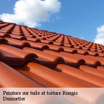 Peinture sur tuile et toiture  rungis-94150 Dumortier